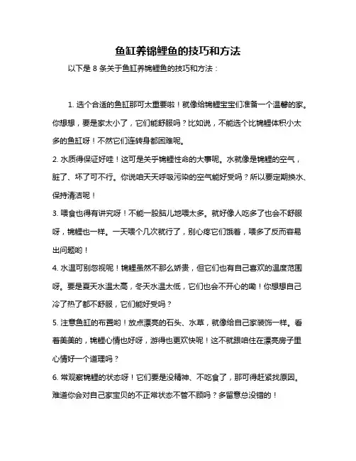 鱼缸养锦鲤鱼的技巧和方法