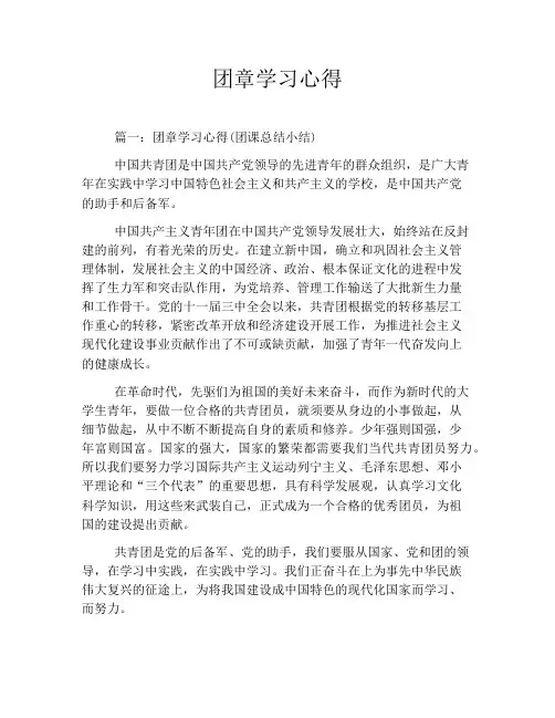 团章学习心得