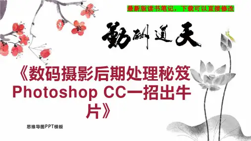 《数码摄影后期处理秘笈 Photoshop CC一招出牛片》读书笔记思维导图