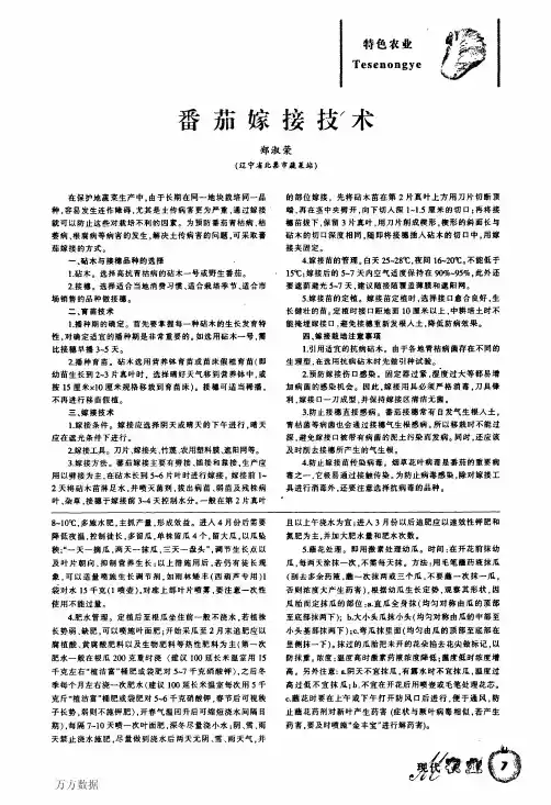 番茄嫁接技术