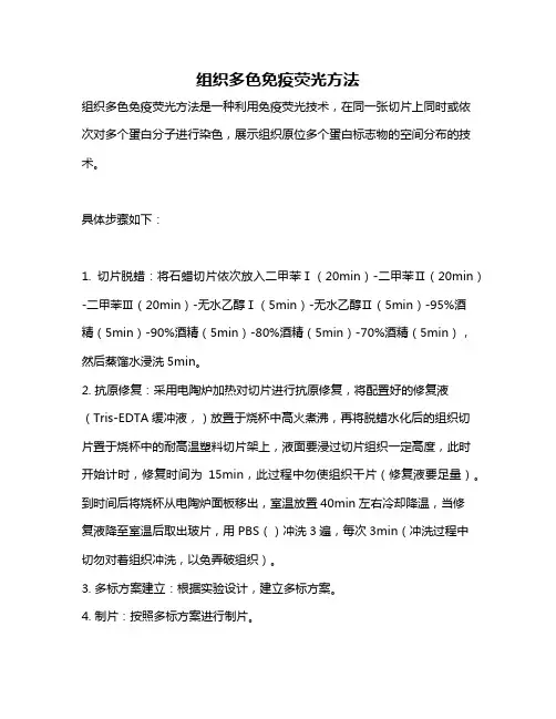 组织多色免疫荧光方法