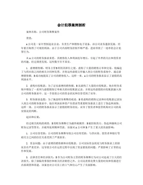 会计犯罪案例剖析