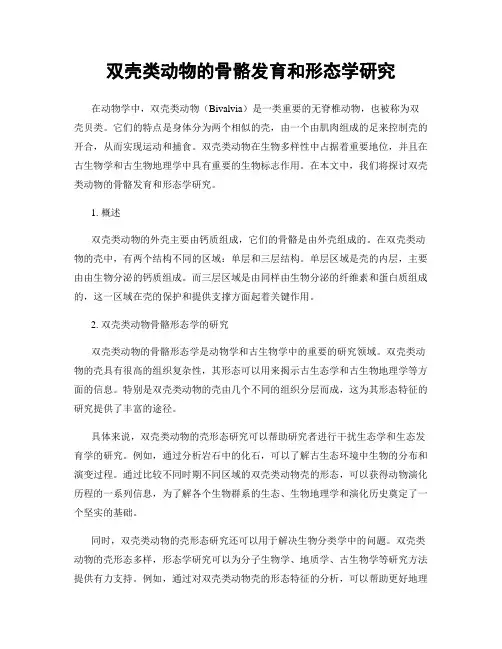 双壳类动物的骨骼发育和形态学研究
