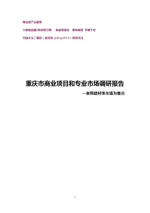 2017年重庆市商业项目和专业市场调研报告(38页)