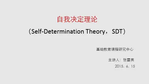 自我决定理论 ppt课件