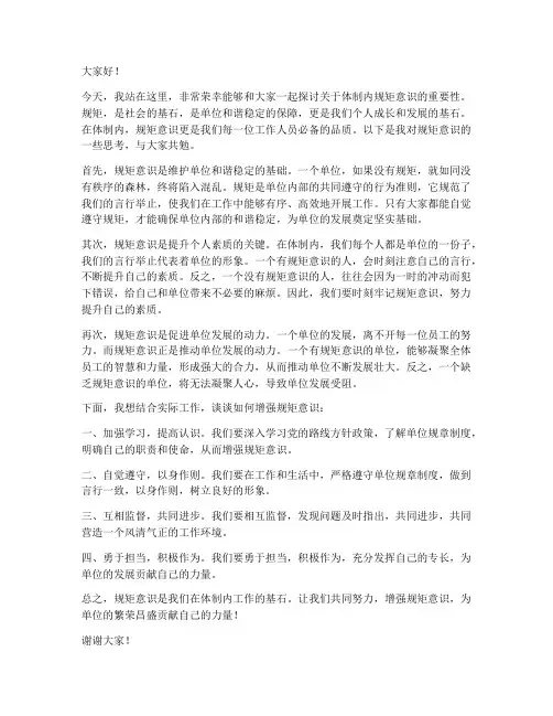 体制内规矩意识发言稿范文