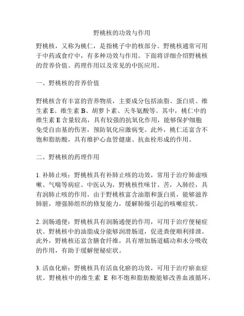 野桃核的功效与作用