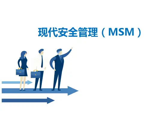 现代安全管理(MSM)
