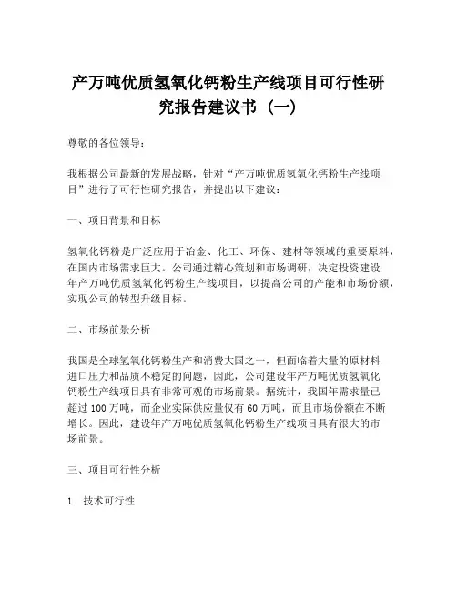 产万吨优质氢氧化钙粉生产线项目可行性研究报告建议书 (一)