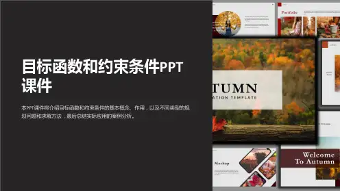 《目标函数和约束条》课件