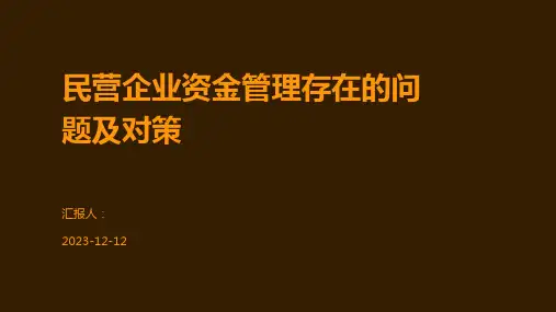 民营企业资金管理存在的问题及对策