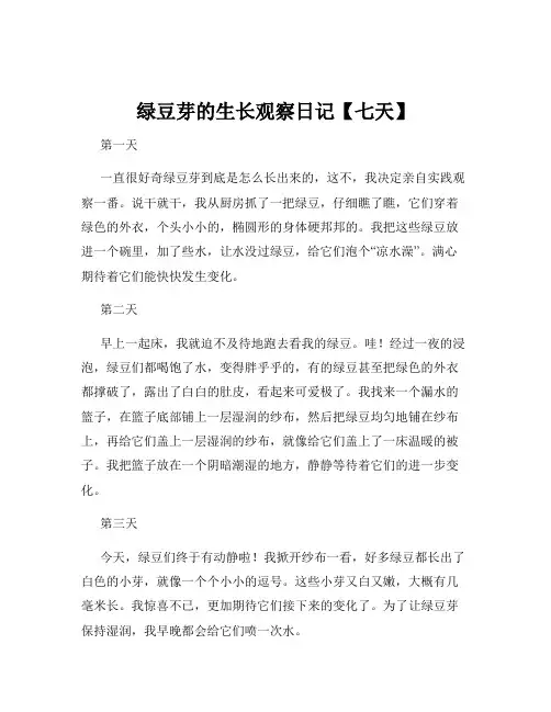 绿豆芽的生长观察日记【七天】