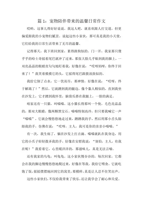 宠物陪伴带来的温馨日常作文精选10篇
