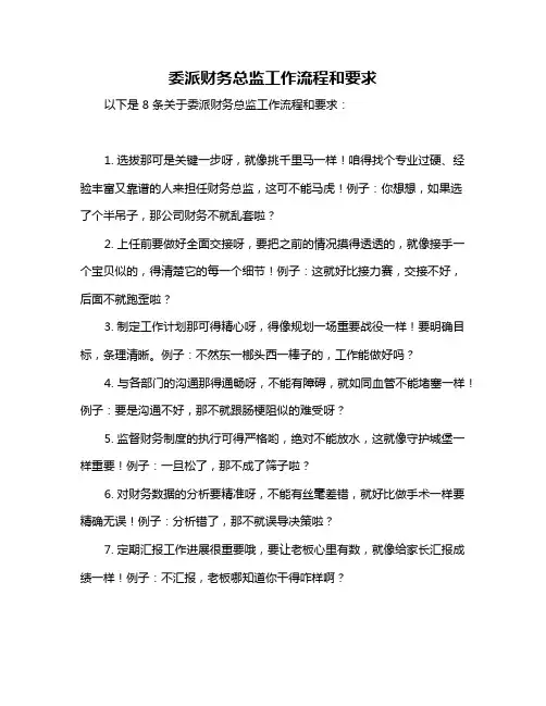 委派财务总监工作流程和要求