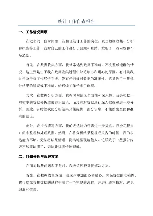 统计工作自查报告