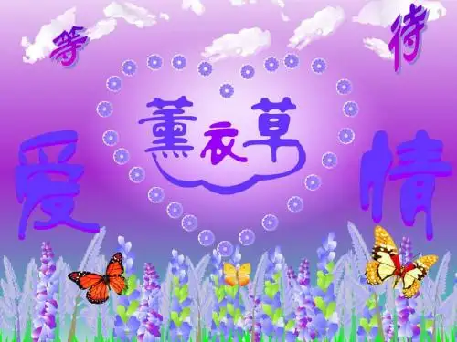 薰衣草