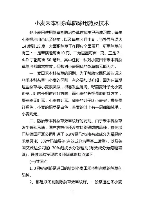 小麦禾本科杂草防除用药及技术