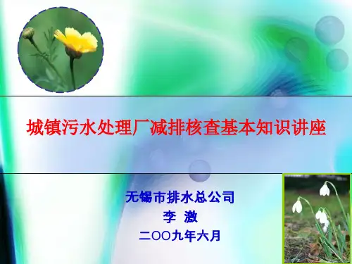 城镇污水处理厂工艺全套ppt课件