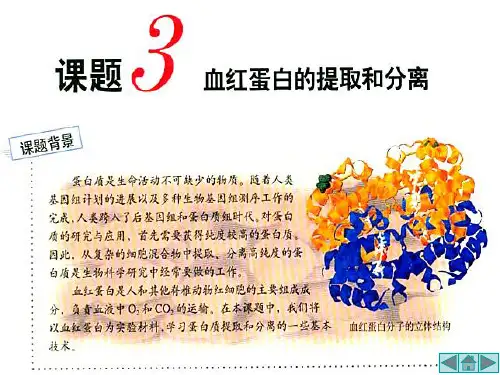 高中生物课件：血红蛋白的提取和分离(人教版选修1)