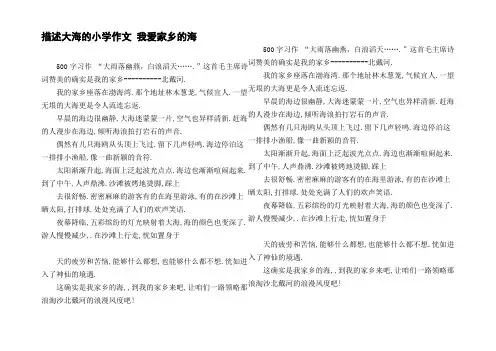 描述大海的小学作文我爱家乡的海