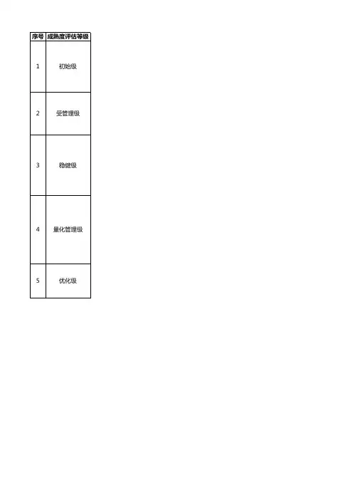 DCMM成熟度评估表