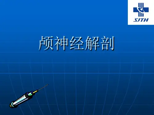 十二对颅神经PPT课件
