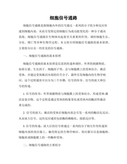 细胞信号通路