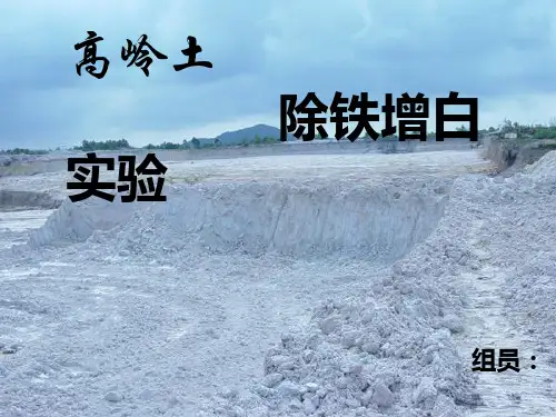高岭土除铁增白