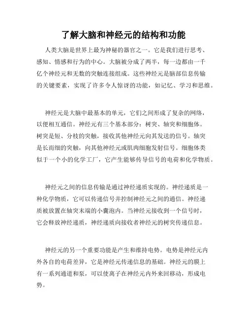 了解大脑和神经元的结构和功能