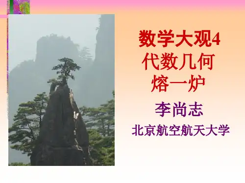 李尚志教授数学大观课件