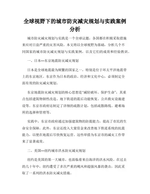 全球视野下的城市防灾减灾规划与实践案例分析