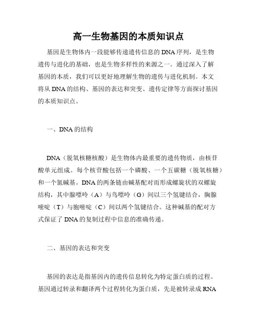 高一生物基因的本质知识点