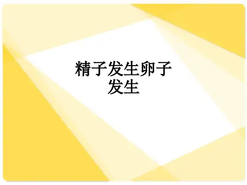 精子发生卵子发生ppt课件
