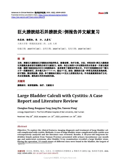 巨大膀胱结石并膀胱炎1_例报告并文献复习