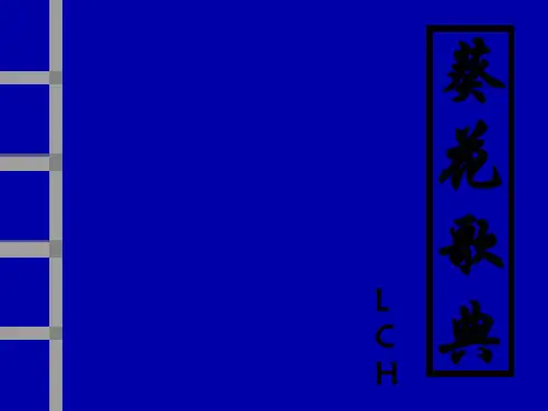 歌词