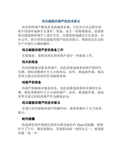 西瓜嫁接西葫芦的技术要点