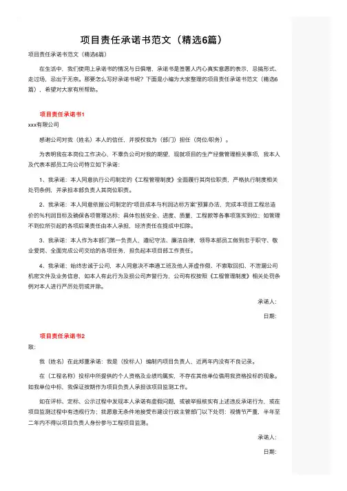 项目责任承诺书范文（精选6篇）