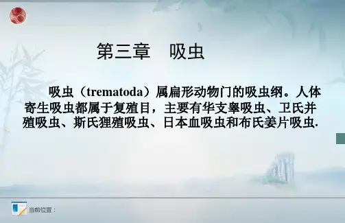 第三章  吸虫