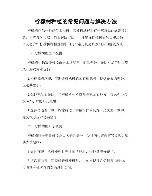柠檬树种植的常见问题与解决方法