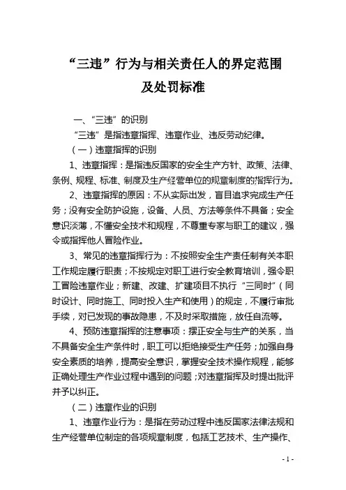 “三违”行为及其相关责任人的界定范围和处罚标准_secret