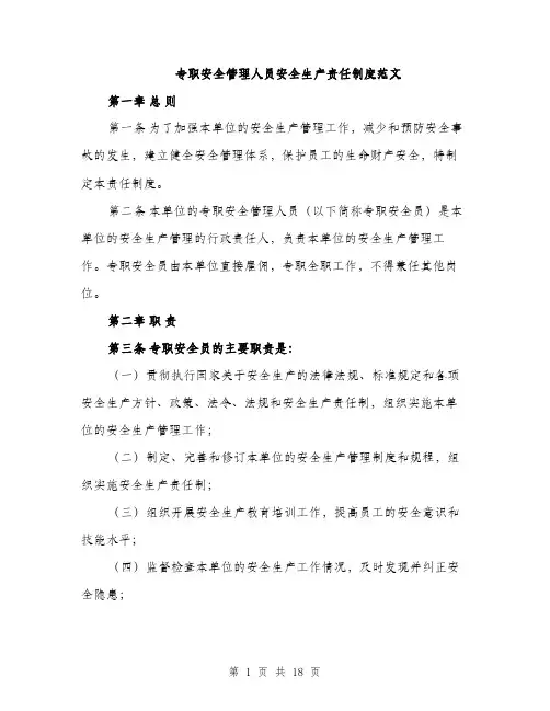 专职安全管理人员安全生产责任制度范文(五篇)