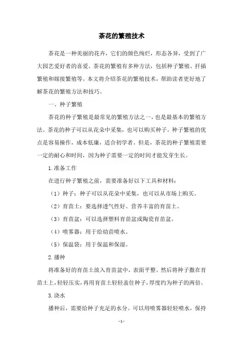 茶花的繁殖技术