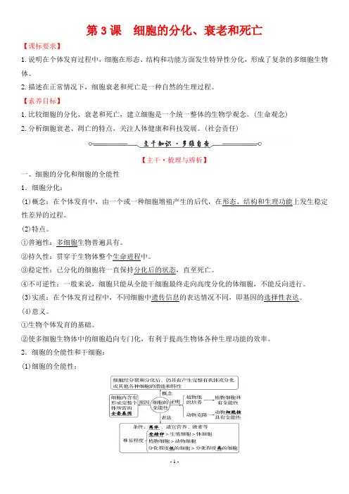 2022年高考生物一轮考点复习 第四单元细胞的生命历程 第3课 细胞的分化、衰老和死亡