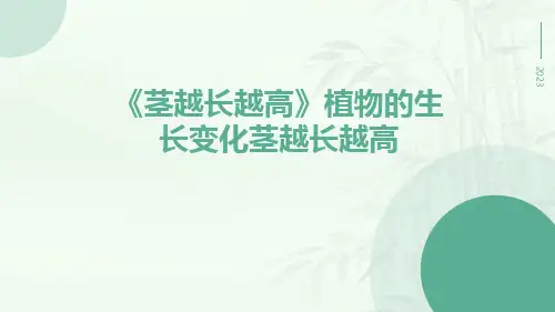 《茎越长越高》植物的生长变化茎越长越高
