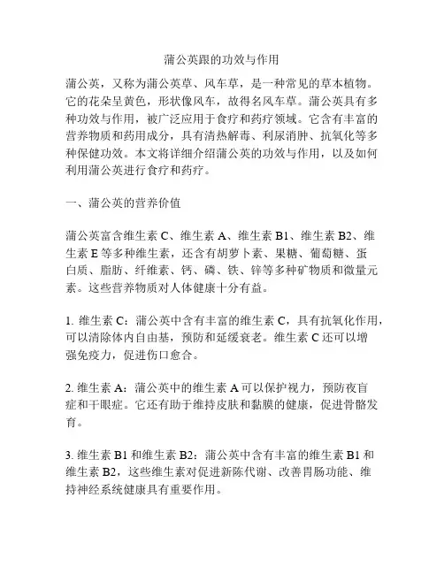 蒲公英跟的功效与作用