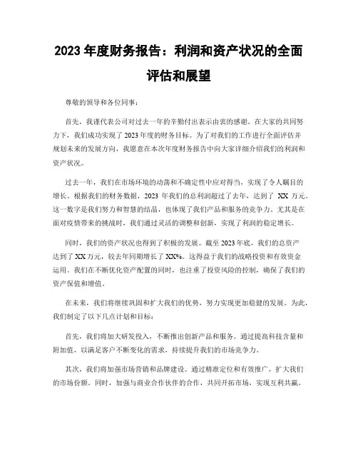 2023年度财务报告：利润和资产状况的全面评估和展望