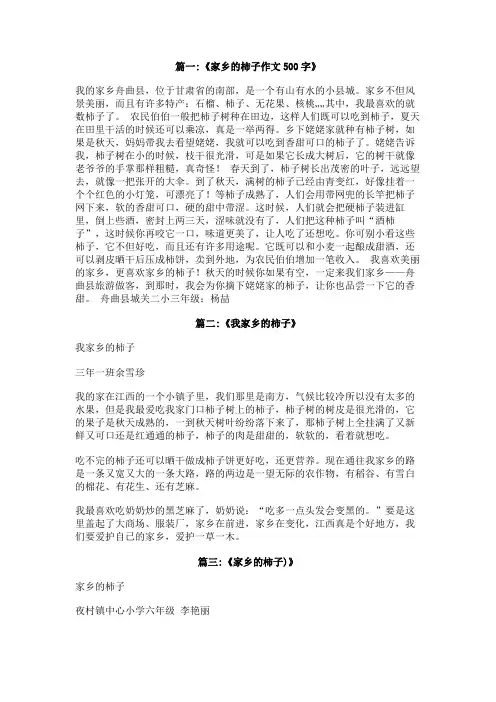 家乡的柿子征文300字