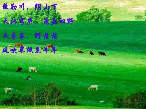 环境问题的表现与分布ppt1 通用