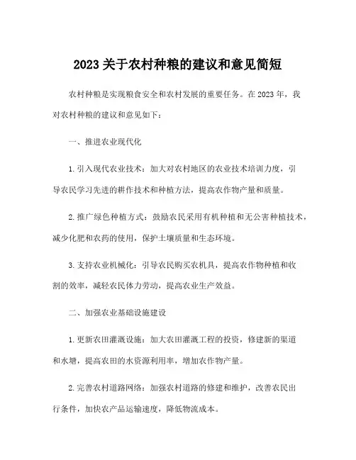 2023关于农村种粮的建议和意见简短