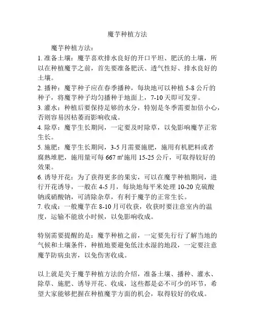 魔芋种植方法